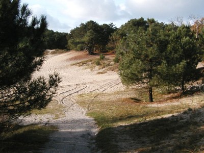 Holiday house Geestmerambacht Rekerlanden 196, Schoorldam - Environment photo 15