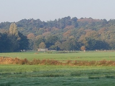 Holiday house Ecolodge Die Perle - Environment photo 19