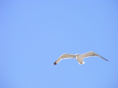 Holiday house Cottage Nordlicht - Environment photo 19