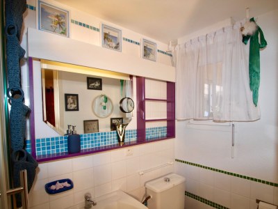 Holiday house Lavender Dream / private pool - Features photo 18