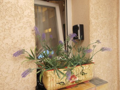 Holiday house Lavender Dream / private pool - Features photo 24