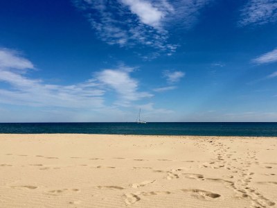 Holiday house Lavender Dream / private pool - Environment photo 25