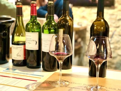 Holiday house Lavender Dream / private pool - Environment photo 34