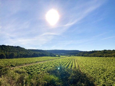 Holiday house Lavender Dream / private pool - Environment photo 35