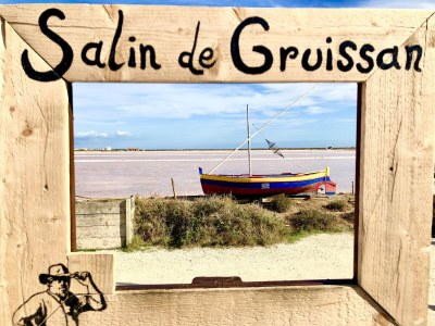 Holiday house Lavender Dream / private pool - Environment photo 39