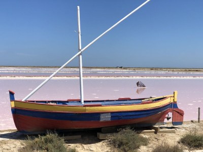Holiday house Lavender Dream / private pool - Environment photo 40