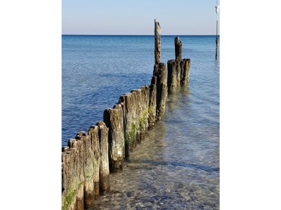 Holiday apartment Seabreeze - Environment photo 29