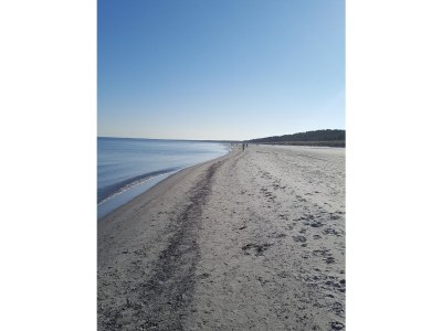 Holiday apartment Seabreeze - Environment photo 30