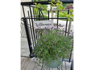 Holiday apartment Binder, HubertusstraÃŸe Apt 3 - Outdoor photo 5