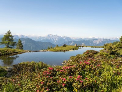 Holiday apartment Binder, HubertusstraÃŸe Apt 3 - Environment photo 25
