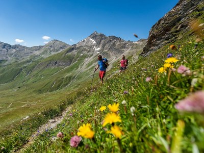 Holiday apartment Binder, HubertusstraÃŸe Apt 4 - Environment photo 20
