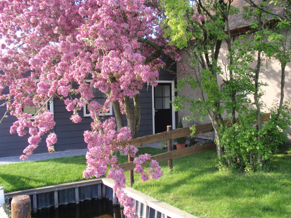 Holiday apartment on the farm - Hoeve Nooitgedacht - Outdoor photo 2