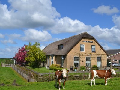 Holiday apartment on the farm - Hoeve Nooitgedacht - Outdoor photo 8