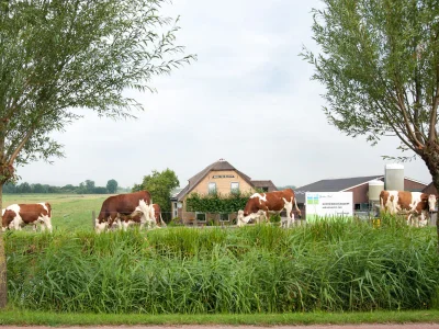 Holiday apartment on the farm - Hoeve Nooitgedacht - Outdoor photo 10