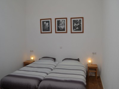 Holiday apartment on the farm - Hoeve Nooitgedacht - Features photo 15