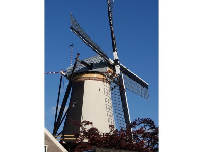 Holiday apartment on the farm - Hoeve Nooitgedacht - Environment photo 17