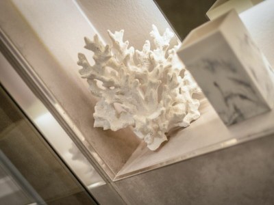 Holiday house Inselliebe - Outdoor photo 8