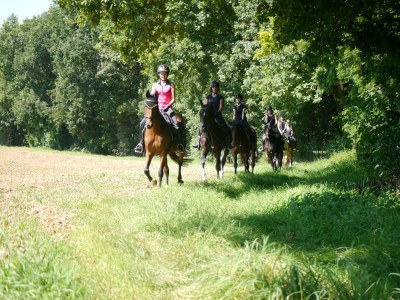 Holiday apartment Stollwerk - Environment photo 9