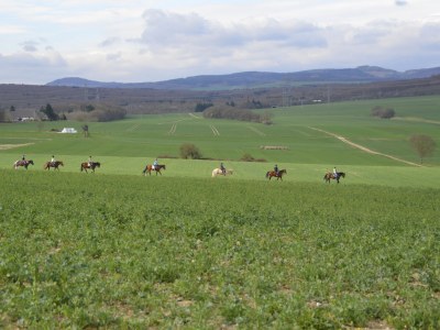 Holiday apartment Stollwerk - Environment photo 10