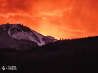 Holiday house Charmante Wohnung mit Terrasse in Deggendorf - Environment photo 28