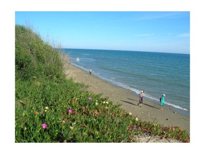 Bungalow Casa Murcia - Environment photo 20