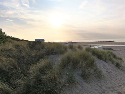 Holiday house Chalet Seaside Breskens - Environment photo 19