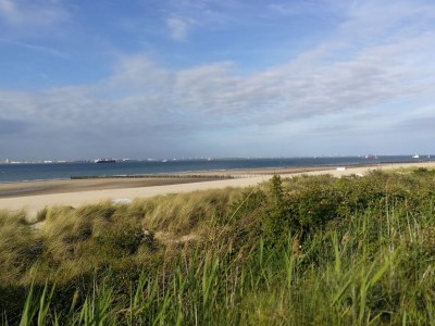 Holiday house Chalet Seaside Breskens - Environment photo 20