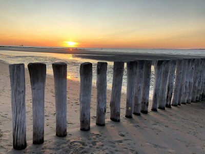 Holiday house Chalet Seaside Breskens - Environment photo 23