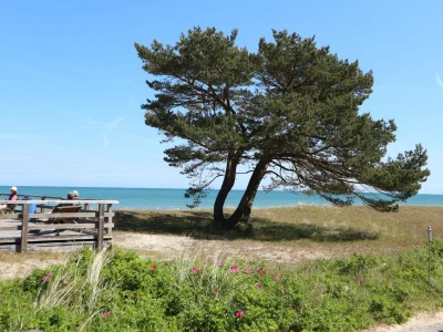 Holiday house Anna - Environment photo 10