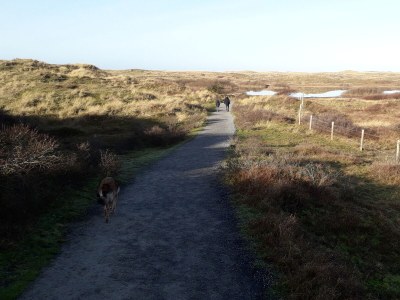 Holiday house Eureka Nr. 117 - Environment photo 22