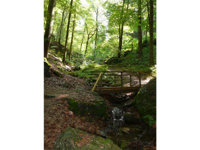 Holiday house Löffelberg 38 - Environment photo 19