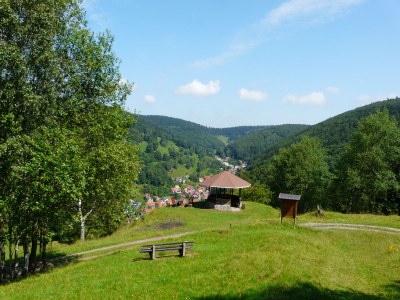 Holiday house Löffelberg 38 - Environment photo 20