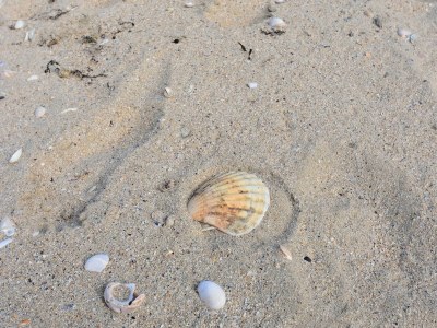 Holiday house Schönes Ferienhaus mit Innenhof - Outdoor photo 42