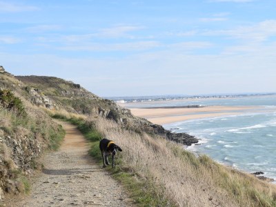 Holiday house "La Taupe"  2km from the beach! - Environment photo 15