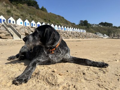 Holiday house "La Taupe"  2km from the beach! - Environment photo 21