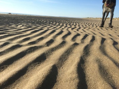 Holiday house "La Taupe"  2km from the beach! - Document photo 22