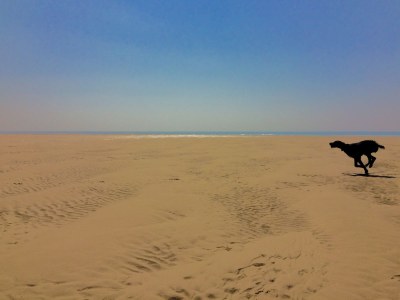 Holiday house "La Taupe"  2km from the beach! - Document photo 23