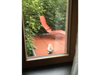 Holiday house Ferienhaus-in-den-Wiesen - Environment photo 23