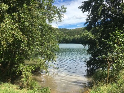 Holiday house Ferienhaus-in-den-Wiesen - Environment photo 29