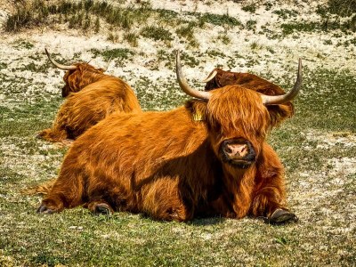 Holiday apartment Joey's Place - Outdoor photo 6