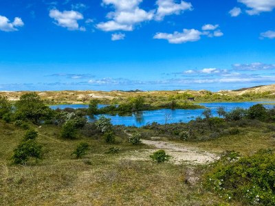 Holiday apartment Joey's Place - Outdoor photo 9