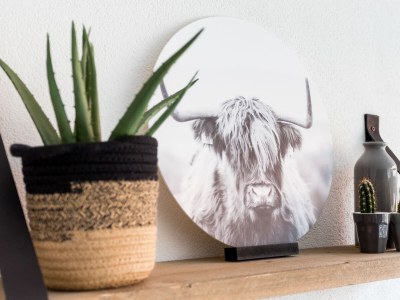 Holiday apartment Joey's Place - Features photo 12