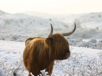 Holiday apartment Joey's Place - Environment photo 29