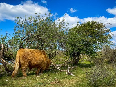 Holiday apartment Joey's Place - Environment photo 31