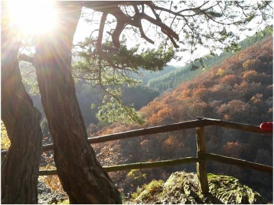 Holiday apartment zur Grotte - Environment photo 26