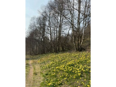 Holiday apartment zur Grotte - Environment photo 29