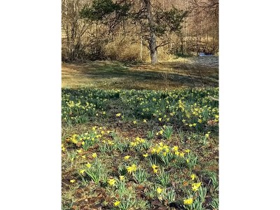 Holiday apartment zur Grotte - Environment photo 30