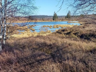 Holiday apartment zur Grotte - Environment photo 31