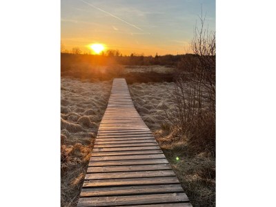 Holiday apartment zur Grotte - Environment photo 32