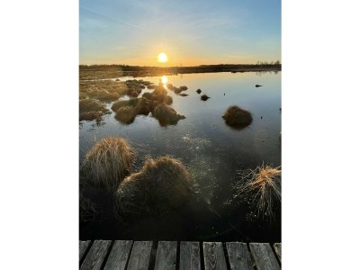 Holiday apartment zur Grotte - Environment photo 33